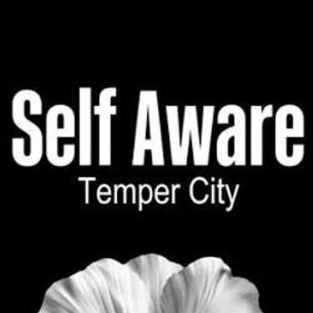 Self Aware Temper City lyrics