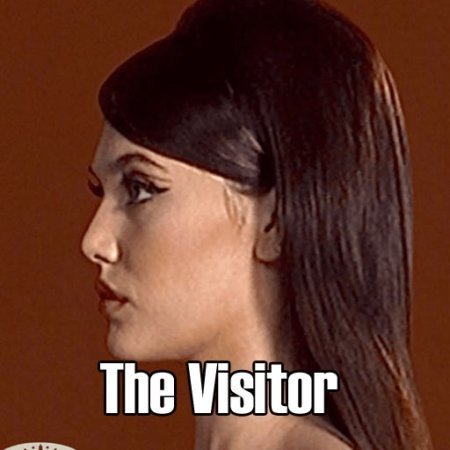 The Visitor Lyrics
