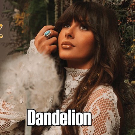 Dandelion Ella Langley lyrics