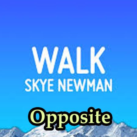 Skye Newman - Walk lyrics
